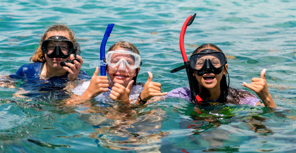 Vieques: Service, Snorkeling, and Bio-Bay Kayaking / Celebrating in Old San Juan