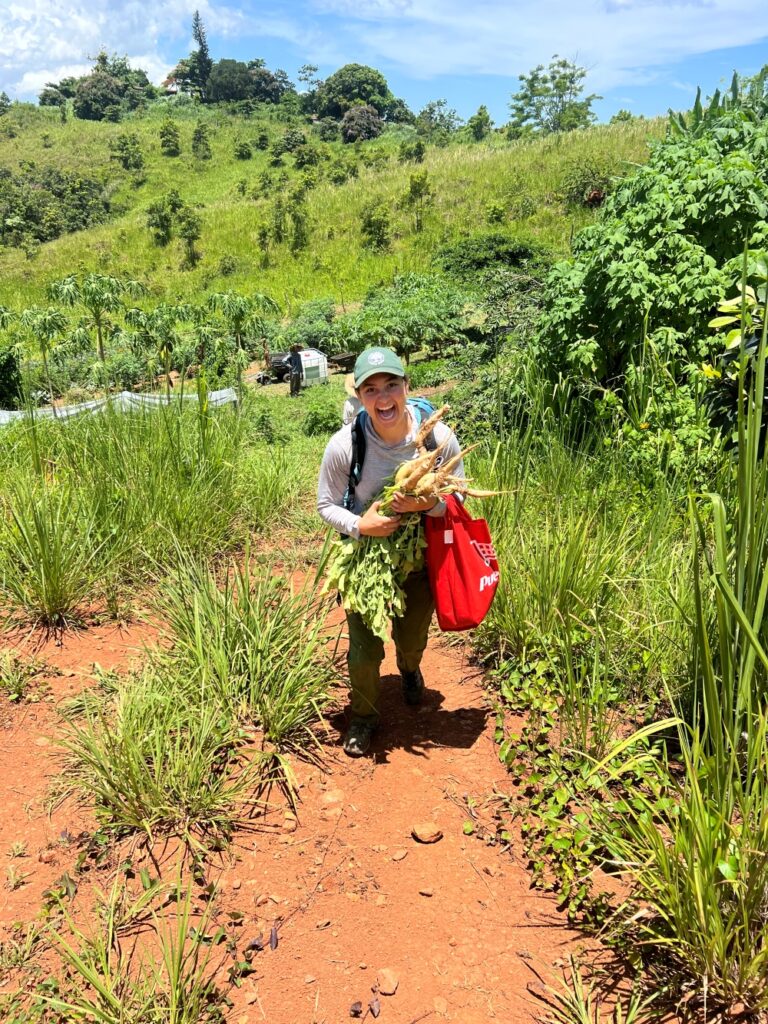 CSPR - Service - Gallery